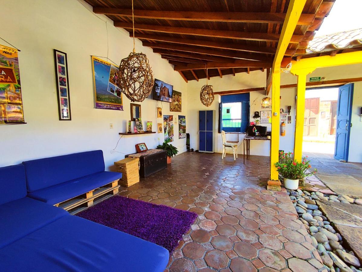 Albergue Trip Monkey