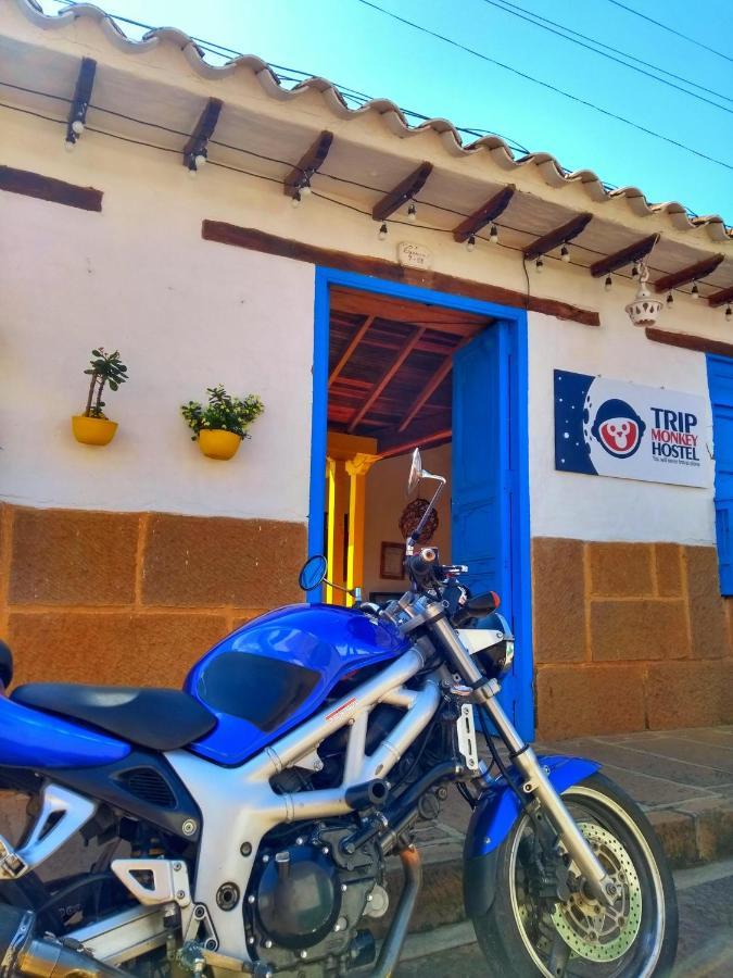 Trip Monkey Hostal