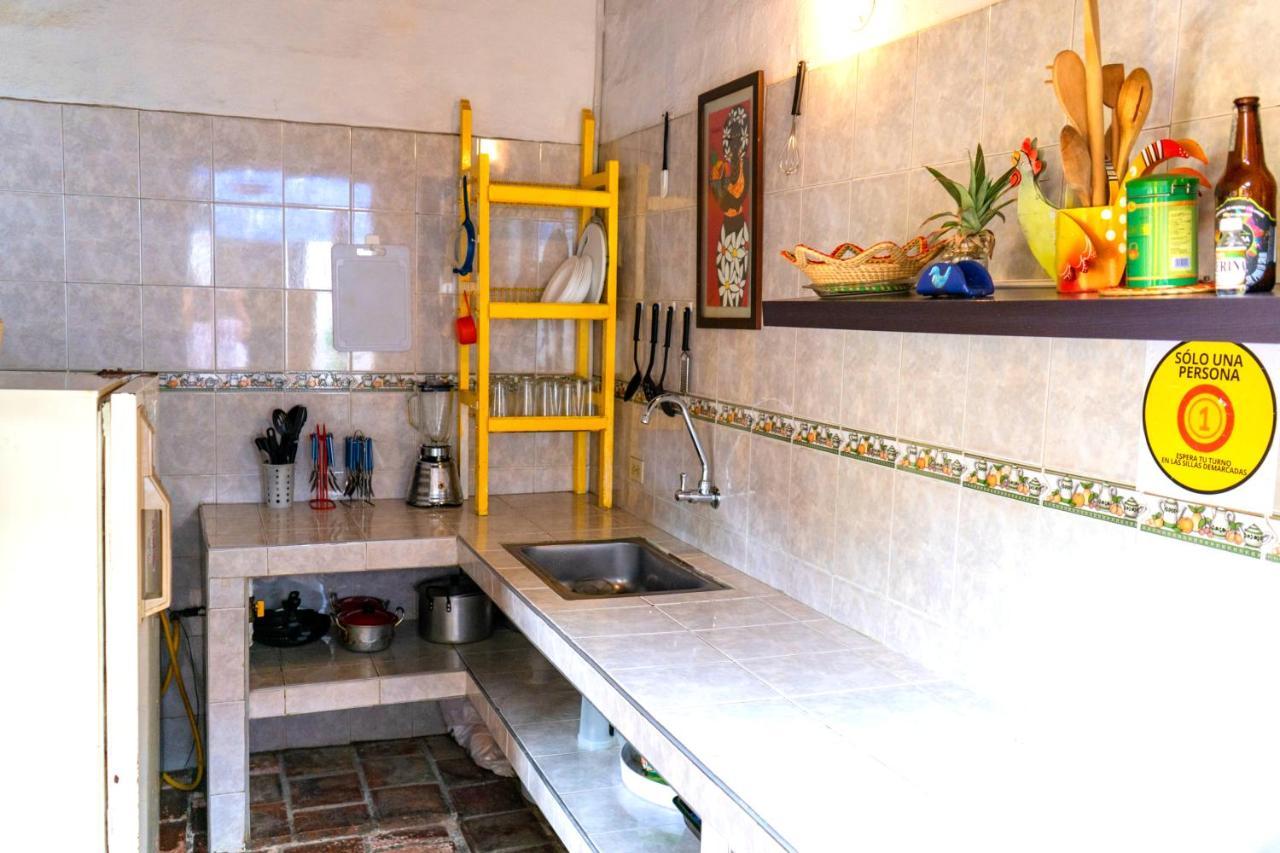 Trip Monkey Hostal *